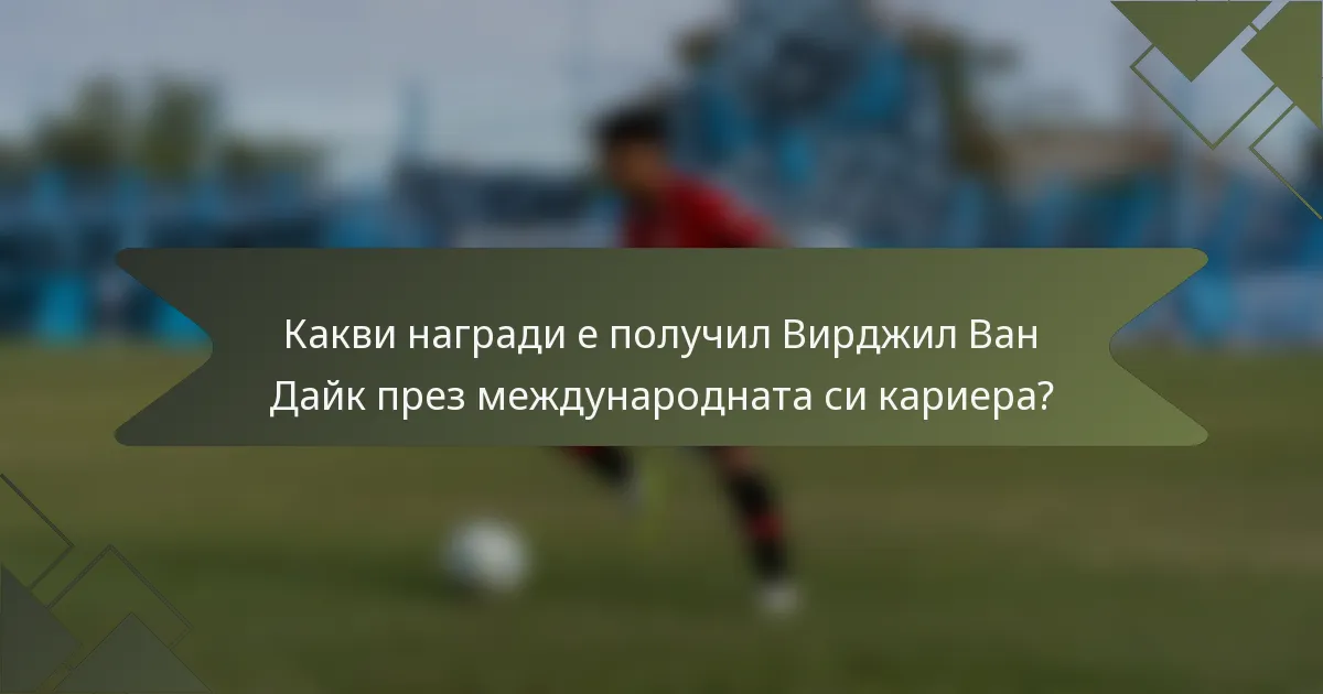 Какви награди е получил Вирджил Ван Дайк през международната си кариера?